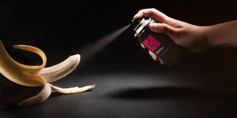 Blowjob without Condom Erotic massage De Meern